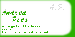 andrea pits business card